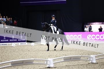 182194_avh_07_3993.JPG