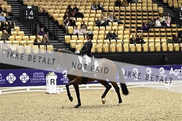 182194_kbb_03_Z090033.JPG