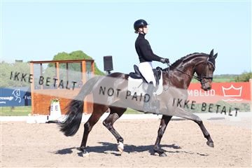 181449_bc_01R62_6141.JPG