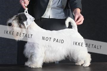 132082_le_ 01_IMG_0332.JPG