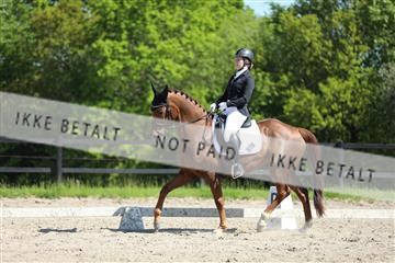 168732_mtp_01_3M5A8152.JPG