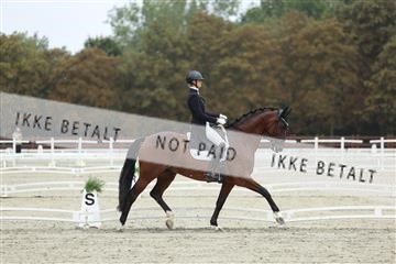181923_mtp_03_R62_7788.JPG