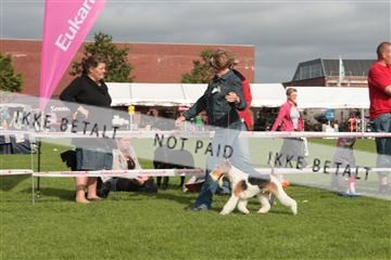 130370_tl_01_IMG_7497.JPG