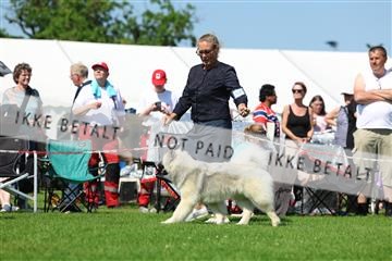 181564_rin_02_R62_3752.JPG