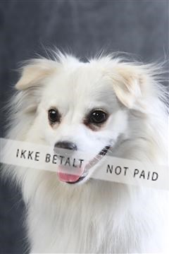 129608_le_ 01_0324.JPG