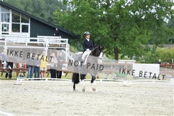181923_mtp_01_R62_6736.JPG