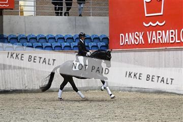 182241_kbb_01_Z093635.JPG
