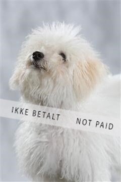 128239_le_kort_ 01_0355.JPG