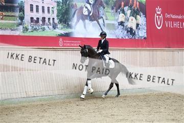 181887_mtp_04_R62_9018.JPG