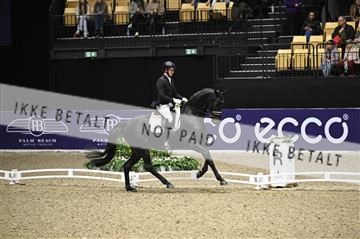 182194_kbb_01_Z097054.JPG