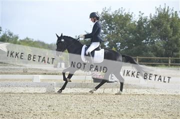 169624_kbb_01__KBB8399.JPG