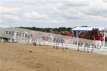 125406_sc_02_IMG_0425.jpg