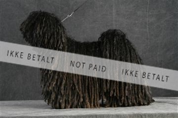 5493_sme _02__MG_9664.JPG