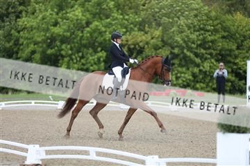 181957_mtp_01_3M5A7806.JPG
