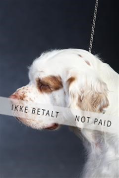 132082_le_ 01_IMG_1006.JPG