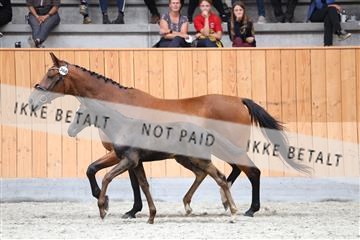 175058_mlm_01_R62_6883.JPG