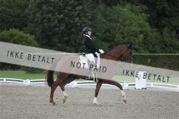 181957_mtp_01_3M5A8047.JPG