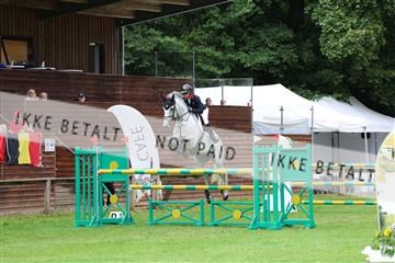 181805_mlm_01_R62_5896.JPG