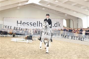 174363_kbb_01_R6II8765.JPG