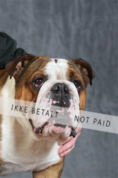 130054_le_ 03_0348.JPG