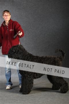 132082_le_ 01_IMG_0994.JPG