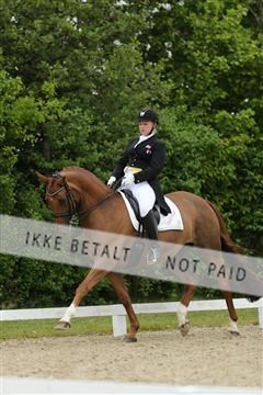 139835_sg_01_IMG_8043.JPG