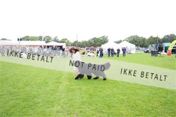 182009_kar_01__62_6206.JPG