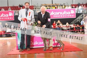 6068_ma_05_IMG_5723.JPG
