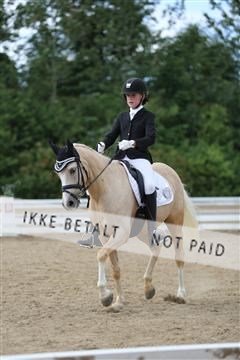 156196_nn_01_IMG_6450.JPG