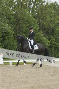 139835_sg_02_IMG_8800.JPG