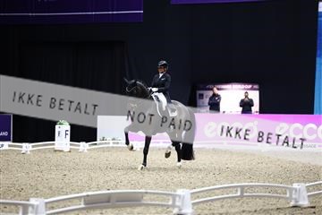 182194_avh_06_3723.JPG
