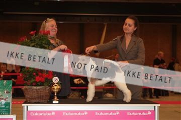 124188 _tl_02_IMG_9525.JPG