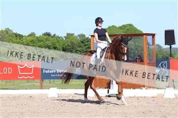 181449_bc_01R62_5961.JPG