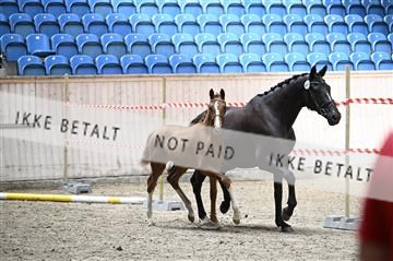 181754_kbb_01_Z094037.JPG