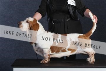 132082_le_ 01_IMG_0711.JPG