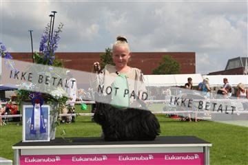 130370_le_02_IMG_8517.JPG