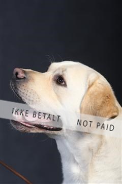 132082_le_ 01_IMG_1038.JPG