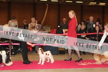 124188 _tl_02_IMG_9195.JPG