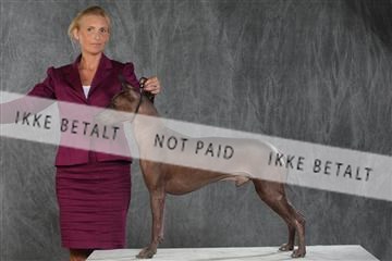 130054_le_ 03_0221.JPG