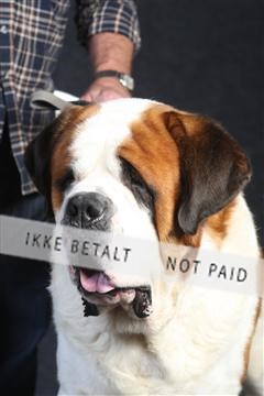 132082_le_ 01_IMG_0093.JPG