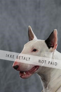 128239_le_kort_ 01_0284.JPG