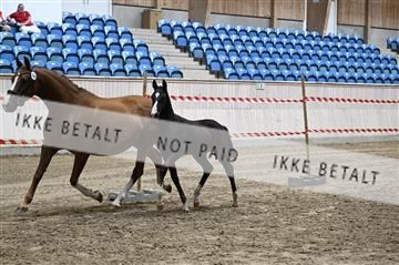 181754_kbb_01_Z093387.JPG