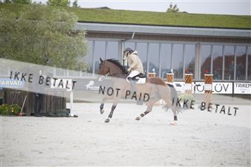 181922_jss_01__6II0807.JPG