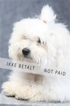 129608_le_ 01_0489.JPG