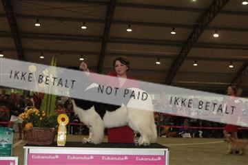 126168_se_02_IMG_0437.JPG