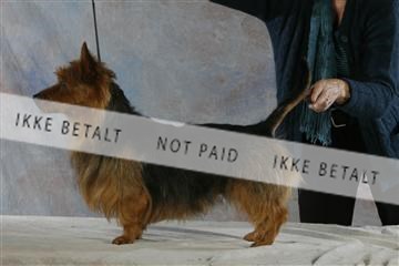 5493_sme _04__MG_9887.JPG