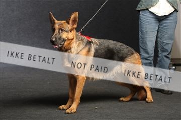 132082_le_ 01_IMG_0918.JPG