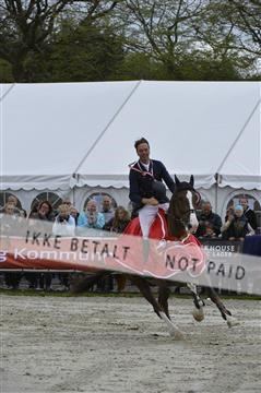 139644_abo_11__AB11630.JPG