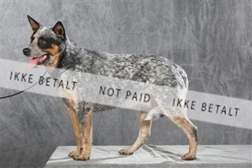 130054_le_ 01_0362.JPG