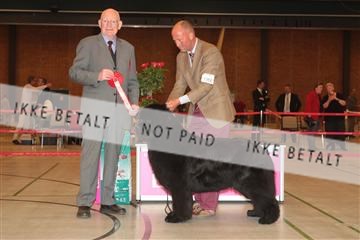 124188 _tl_02_IMG_9702.JPG